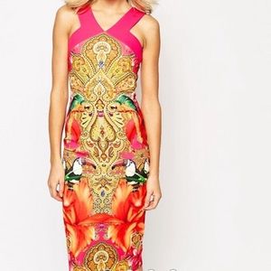 Ted Baker Valeena Paisley Toucan Print Dress